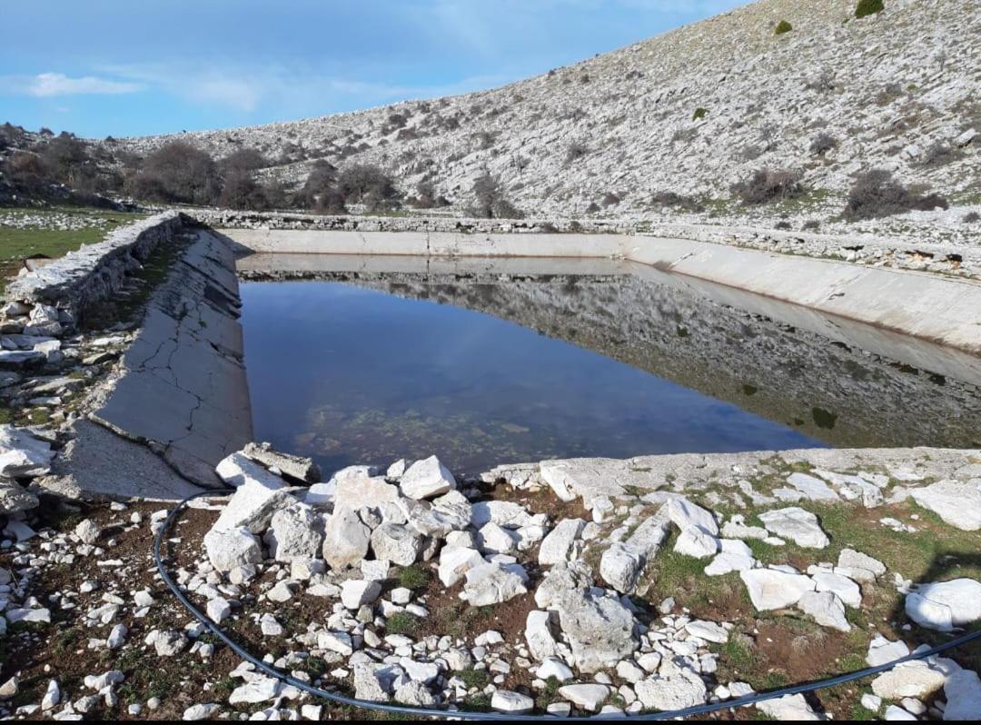 Hamiti Llogara